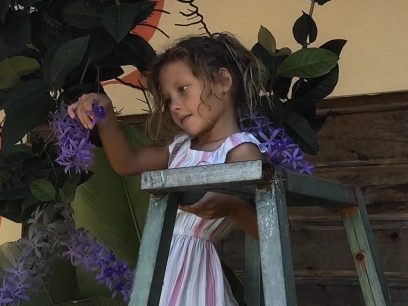 Jaya exploring violet flowers in the garden